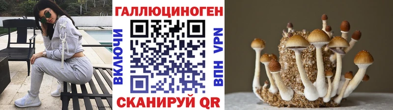 Галлюциногенные грибы мухоморы  Болотное 