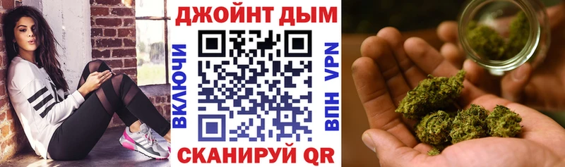 Канабис планчик Болотное